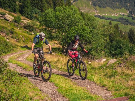 Low quality-Brüsacü Bike-Copyright Redesign.jpg