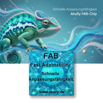 Schnelle Anpassung.jpg