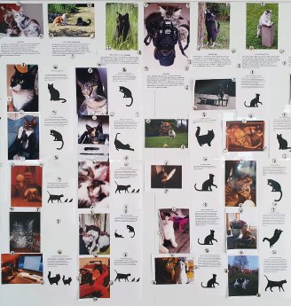 Katzenwand mit Einsendungen von Fotos von Katzenliebhabern aus der Altmark Copyright Winckelmann.jpg