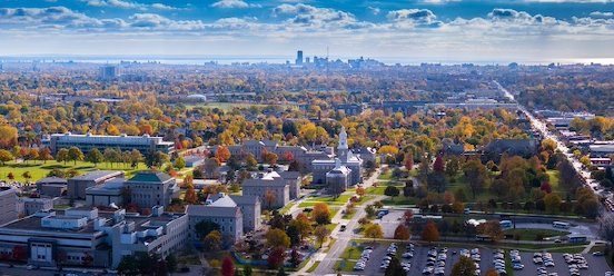 Key%20Visual_Buffalo590.jpg