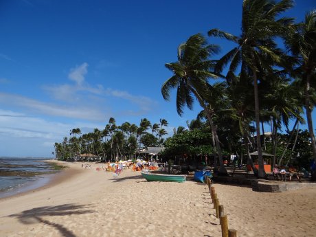 014-Praia do Forte (c) K.-H. Milter, Karawane.JPG