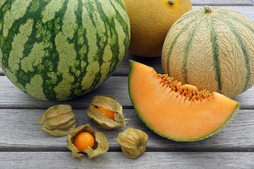 Melonen und Physalis.jpg