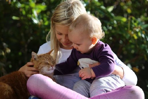csm_IVH_M%C3%A4dchen_und_Kleinkind_streicheln_Katze_d1d40c5bfd.jpg