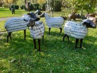 Schafsherde, Fotos: Netzwerk / Bernhard Eber