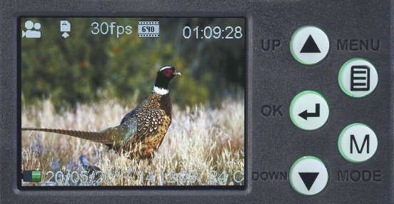 NX-4482_15_VisorTech_Full-HD-Wildkamera_m._Bewegungssensor_WK-585_Nachtsicht.jpg