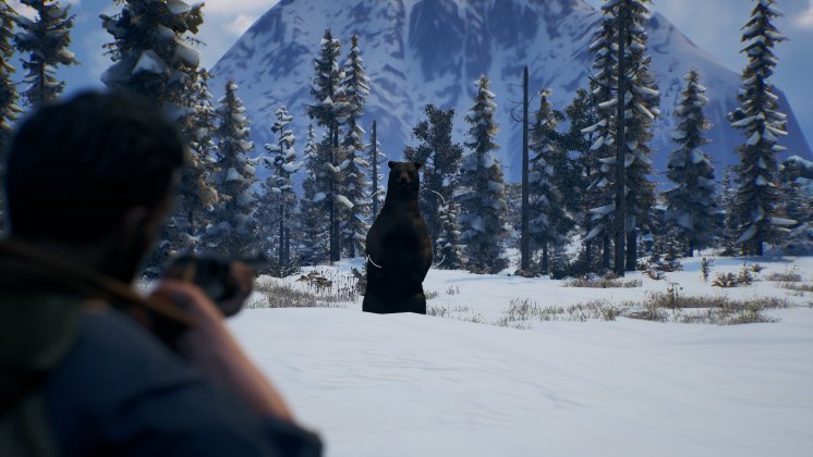 Winter Bear Meets Shotgun.jpg