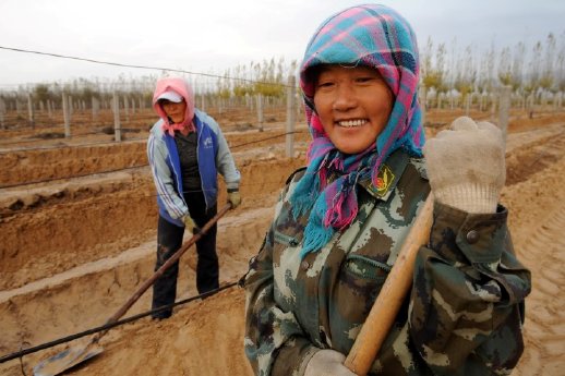 Arbeit im Weinberg in der inneren Mongolei.JPG