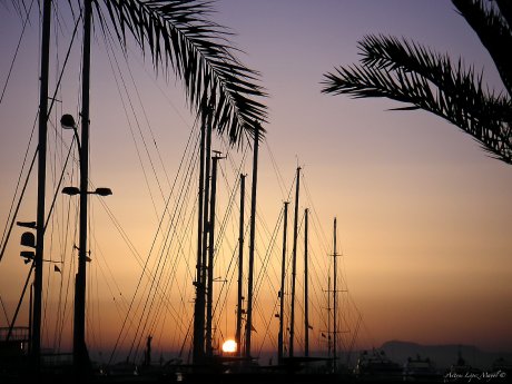 1_Sonnenaufgang im Hafen von Palma © fincallorca.jpg