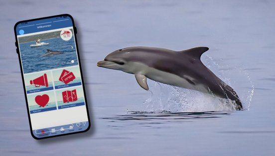 Sichtungsmeldung Adria+.jpg