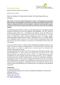 220630_Presseinformation_Seltene Wildbienenart entdeckt.pdf
