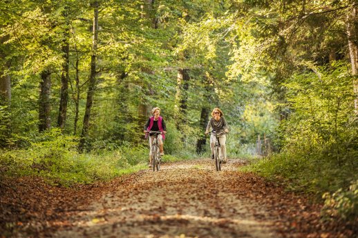 Konstanz-Dingelsdorf-Wald-Radfahren-Laub-01_Copyright_MTK-Dagmar-Schwelle.jpg