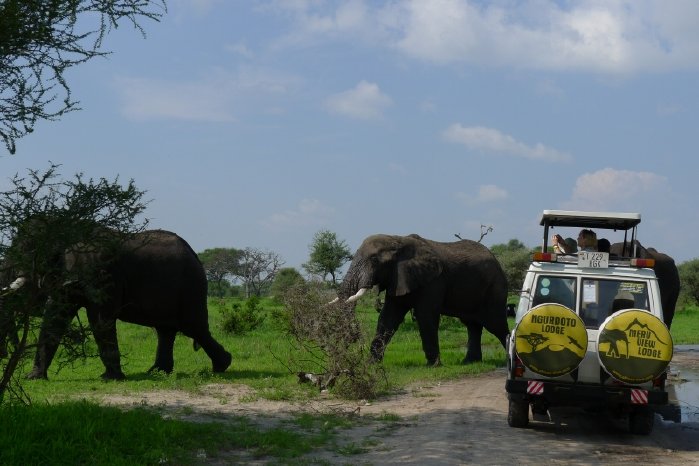 Tansania-Safari-Tarangire-Nationalpark.jpg