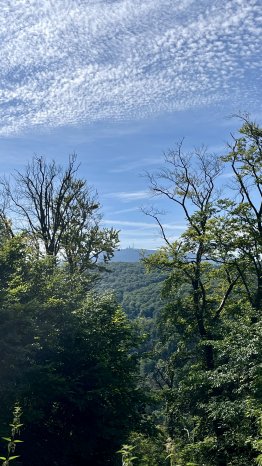 bad_harzburg(c)_wanderungen_kw19_20.jpg
