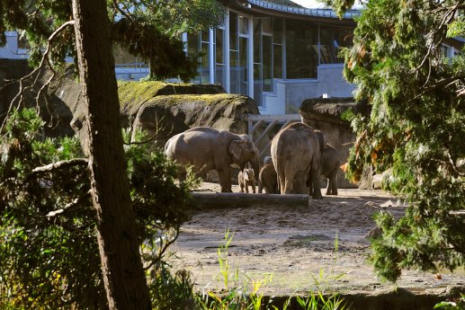 Elefantenpark 19.jpg