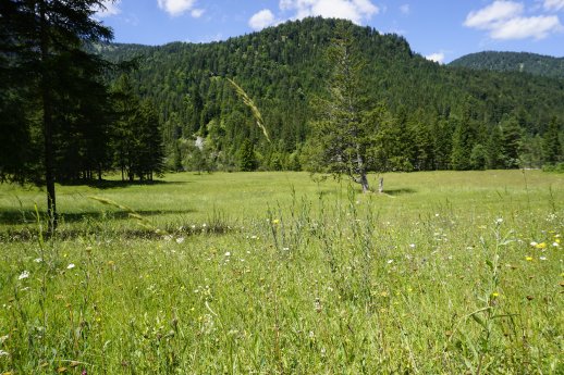 Schützenswerte Natur im Tölzer Land c Kunz PR.JPG