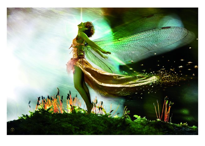 01.09. Bilderausstellung Kaufhaus Kröger.jpg