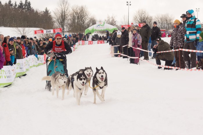 Schlittenhunde2_©Jonathan Rode..jpg