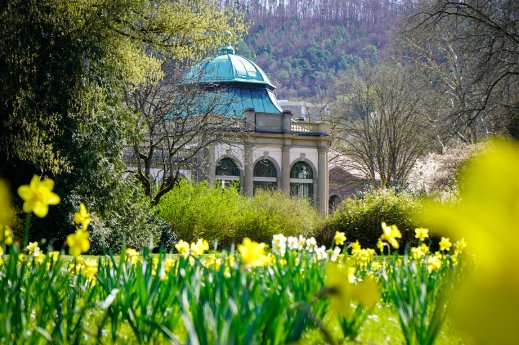 Frühlingsbepflanzung fertig 2025 (c) Bayer. Staatsbad Bad Kissingen GmbH_Foto Nina Pereira Santo.jpg