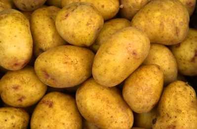 pm48_Kartoffeln-i.jpg