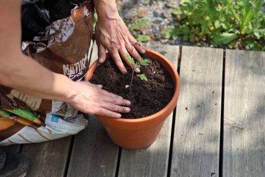Patzer Erden_hochwertige Erde9.JPG