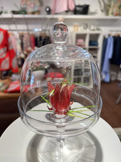 Genuss-Festival Erlangen 2026: Erfolgreiche Ausgabe mit neuem  kulinarischen Höhepunkt