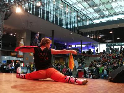 Shaolin Show CMT