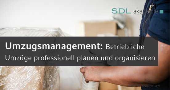 SDL-Akademie-Social-Umzugsmanagement.jpg