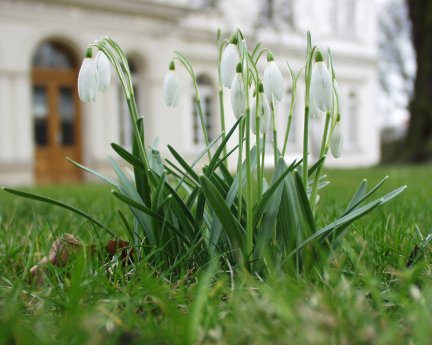 fruehling4.JPG