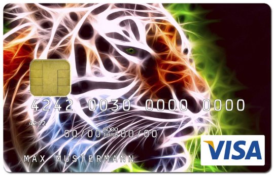 Payango - Visacard.jpg