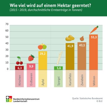 Infografik-Ernteertraege.jpg