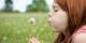 Heuschnupfen: Die Pollen sind los!
