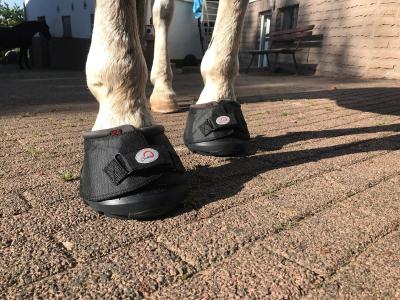 Der Cavallo für die Kaltblüter.