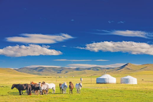 5222_Mongolei_content_1920x1080px_Pferde-im-Orchon-Tal.jpeg