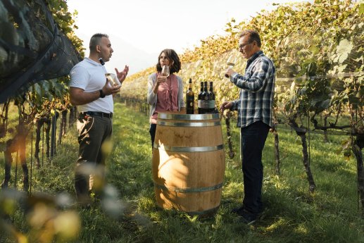 Web Version-Degustazione di vino, Terreni alla Maggia, Ascona-Switzerland Tourism-Lorenz R.jpeg