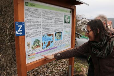 Auf dem Informationsschild zum "Zeitpfad" steht viel Wissenswertes: Unter anderem auch, in welchem Erdzeitalter die Muschelkalkkante entstanden sein dürfte