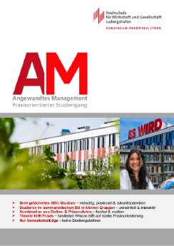 250606_Infoflyer_angewandtes Management.pdf