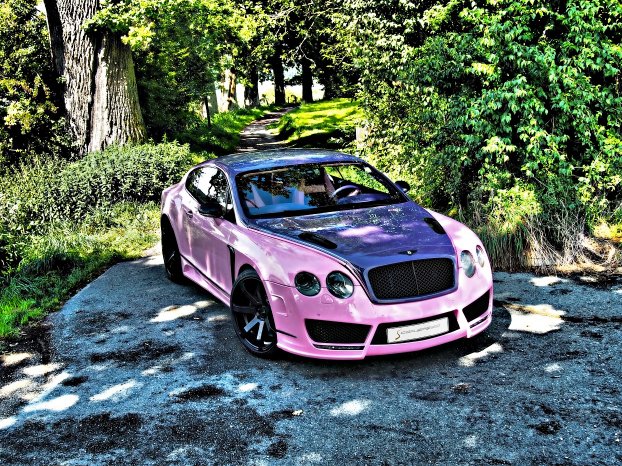 bentley-pink-profi-foto-4.jpg