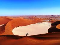 Die meisten Reisetermine 2019 für Wikinger-Fernreisen sind bereits online - z. B. nach Namibia