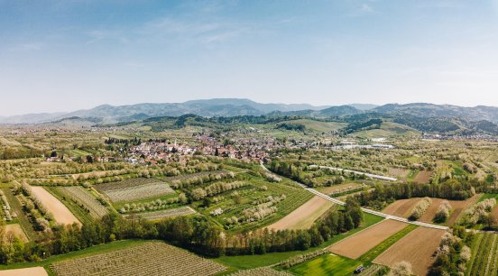 Oberkirch_Panorama rund um Oberkirch © Chris Keller_Schwarzwald Tourismus.jpg