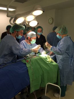 Die Ärzte aus Deutschland und Georgien operierten gemeinsam.jpg