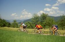Mountainbiking im Schwarzwald