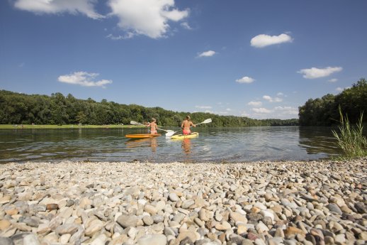 Auwaldsee_bei_Lauingen_4.3(c) Fouad Vollmer.jpg