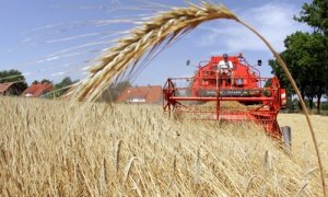 landwirtschaft.jpg