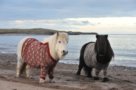 Schottland Pullover   © VisitScotland.jpg