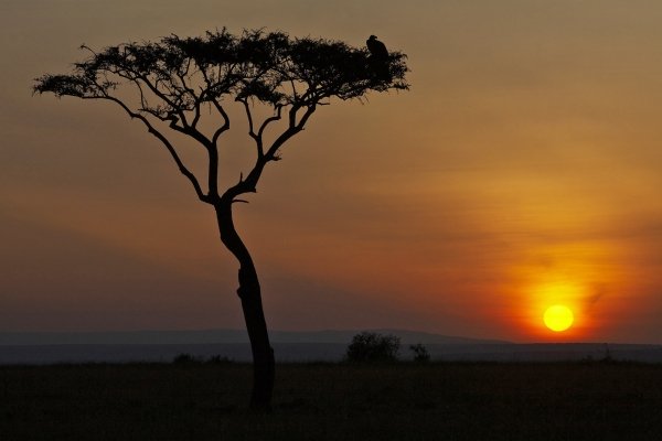 Tansania Sonnenuntergang.jpg