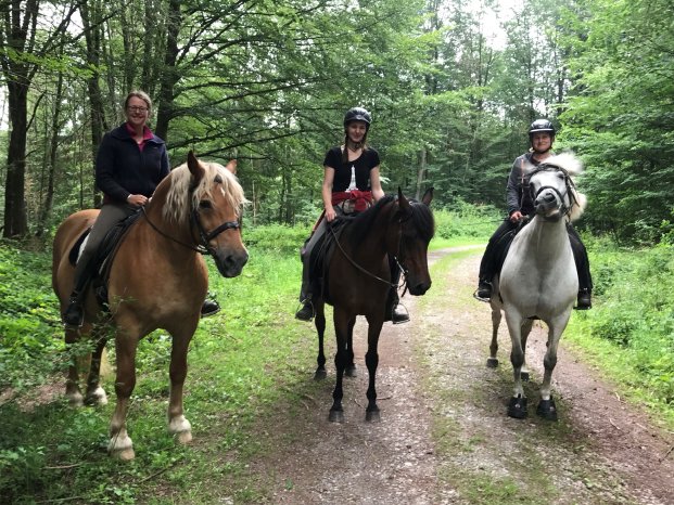 Hufschuhanzieherin Michele Mesche (l.i.B.) unterwegs mit zwei Reiterinnen. Re. im Bild der Equin.jpg