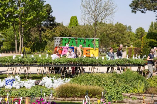 pflanzenwelten_bild 02.jpg