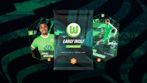 VfL Wolfsburg Männer - Alles über die Mannschaft