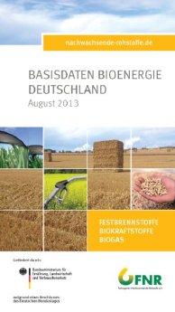 Titelbild_Basisdaten-Bioenergie2013_groe%C3%9Fer.jpg