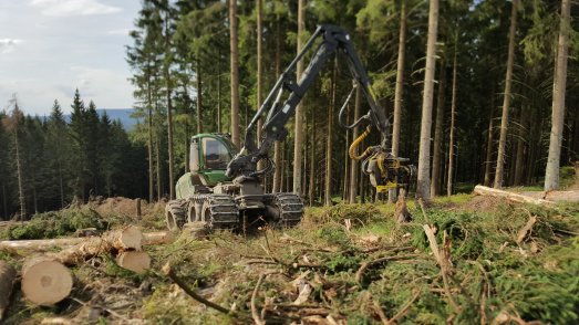Auf 2500 Meter Länge Totalschäden an der B 498: Die Bundestraße bleibt drei Wochen lang voll gesperrt. Die Landesforsten beseitigen Borkenfichten beidseitig der Straße zwischen Riefensbeek und Kreuzung Harzhochstraße / ©Landesforsten